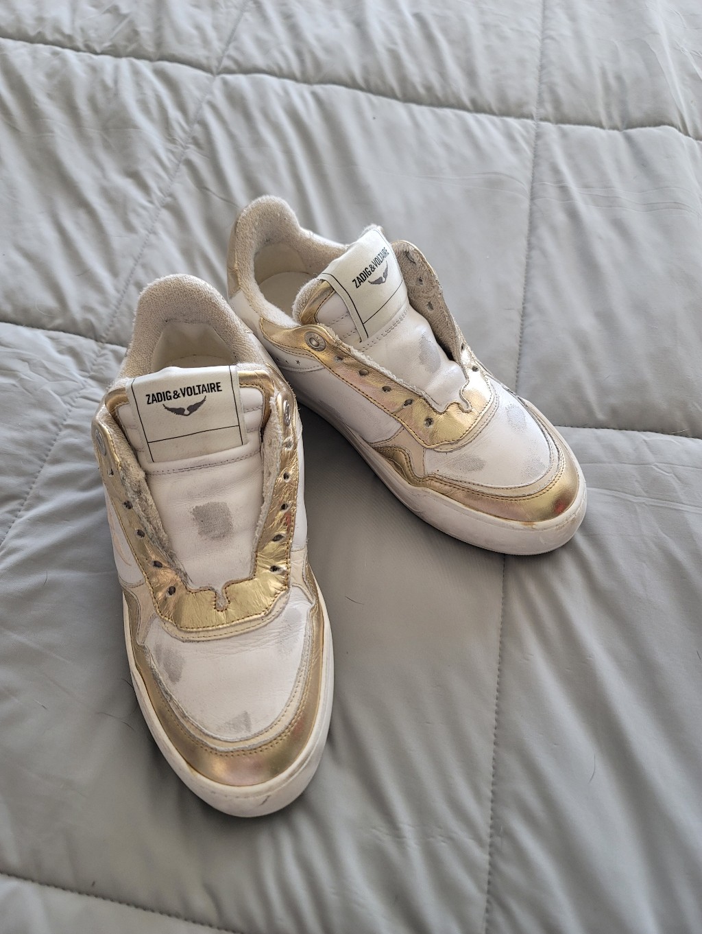 Zadig & Voltaire Wings Lowtop Leather Sneakers 36